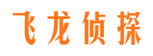 镇平捉小三公司